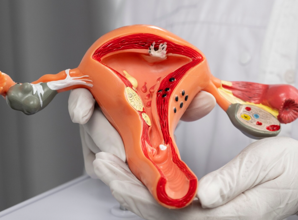 artikel dan berita terbaru bethsaida hospital