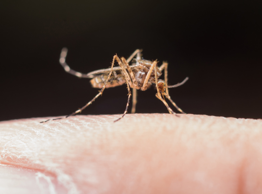 artikel dan berita terbaru bethsaida hospital